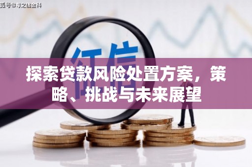 盐田探索贷款风险处置方案，策略、挑战与未来展望