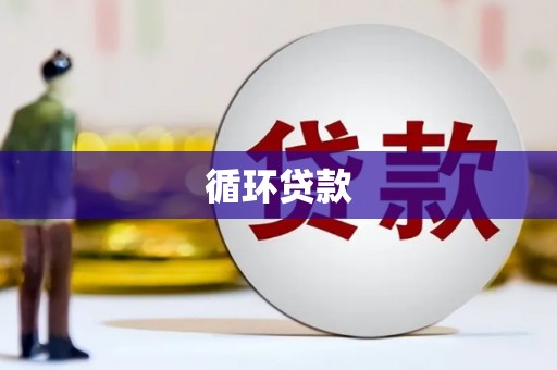 盐田循环贷款
