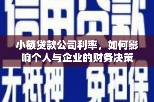 盐田小额贷款公司利率，如何影响个人与企业的财务决策