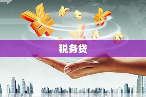 盐田税务贷