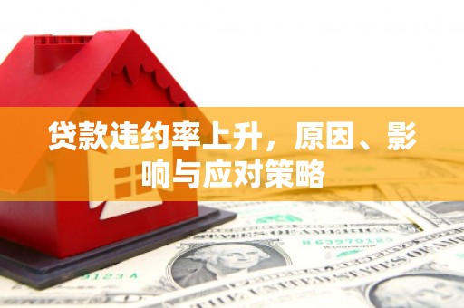盐田贷款违约率上升，原因、影响与应对策略