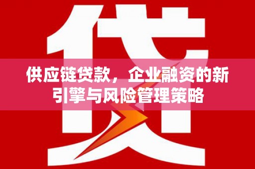 盐田供应链贷款，企业融资的新引擎与风险管理策略
