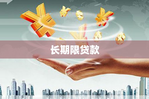 盐田长期限贷款