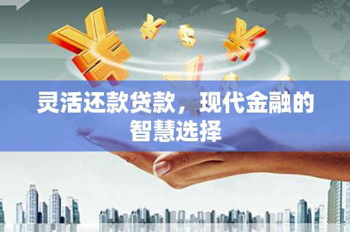 盐田灵活还款贷款，现代金融的智慧选择
