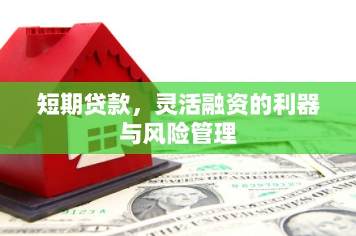 盐田短期贷款，灵活融资的利器与风险管理