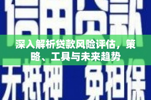盐田深入解析贷款风险评估，策略、工具与未来趋势