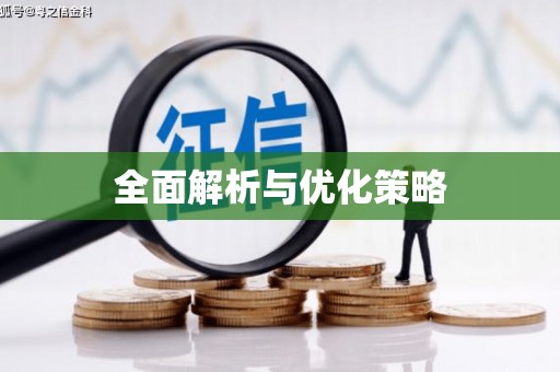 盐田全面解析与优化策略