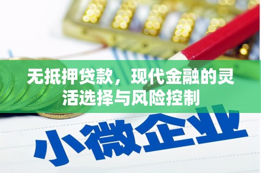 盐田无抵押贷款，现代金融的灵活选择与风险控制