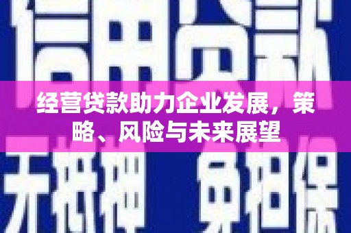 盐田经营贷款助力企业发展，策略、风险与未来展望