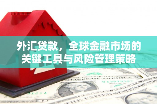 盐田外汇贷款，全球金融市场的关键工具与风险管理策略