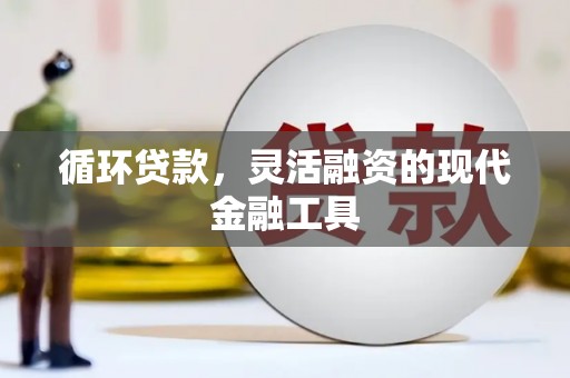 盐田循环贷款，灵活融资的现代金融工具