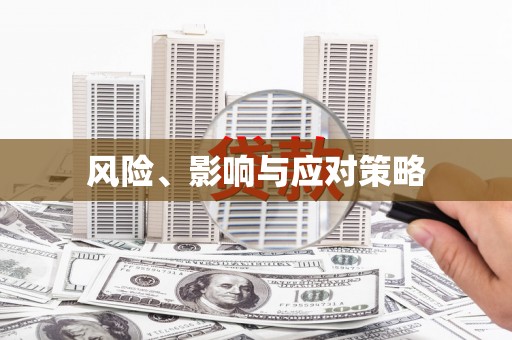 盐田风险、影响与应对策略