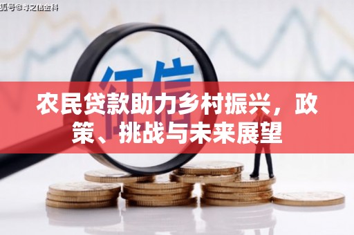 盐田农民贷款助力乡村振兴，政策、挑战与未来展望