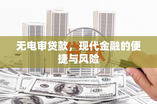 盐田无电审贷款，现代金融的便捷与风险