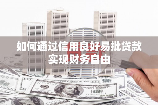 盐田如何通过信用良好易批贷款实现财务自由