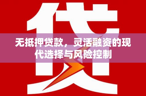 盐田无抵押贷款，灵活融资的现代选择与风险控制