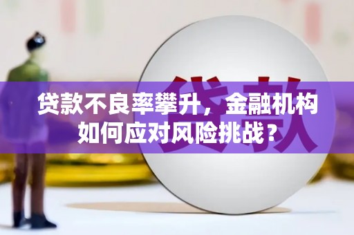 盐田贷款不良率攀升，金融机构如何应对风险挑战？