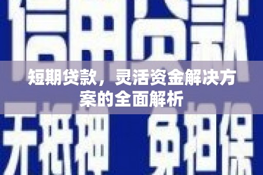 盐田短期贷款，灵活资金解决方案的全面解析