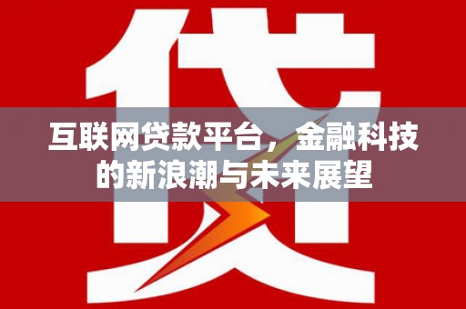 盐田互联网贷款平台，金融科技的新浪潮与未来展望