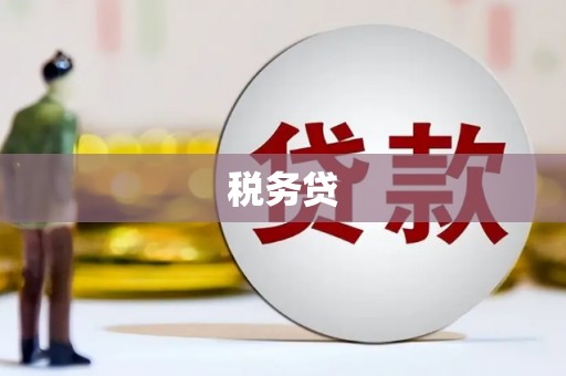 盐田税务贷