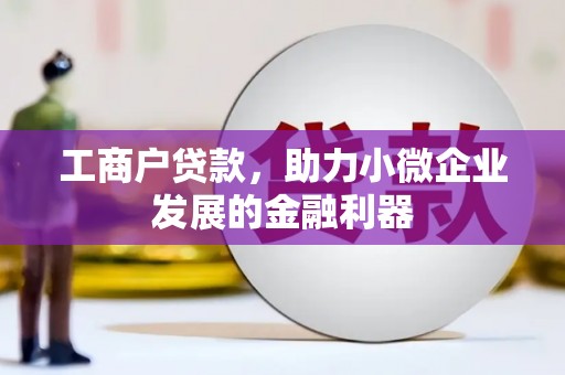 盐田工商户贷款，助力小微企业发展的金融利器