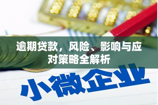 盐田逾期贷款，风险、影响与应对策略全解析