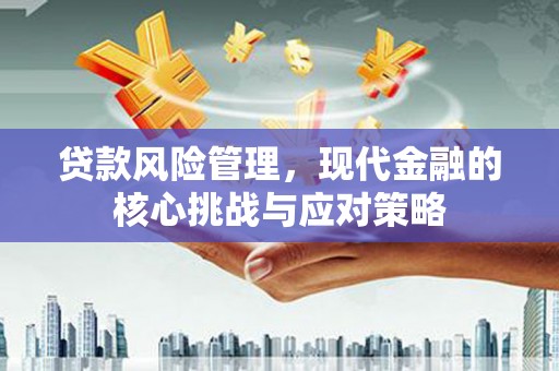 盐田贷款风险管理，现代金融的核心挑战与应对策略