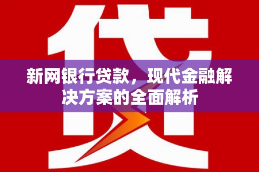 盐田新网银行贷款，现代金融解决方案的全面解析