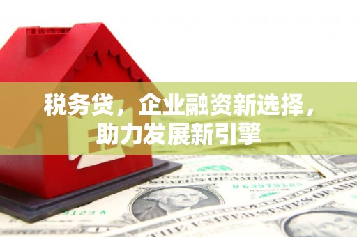 盐田税务贷，企业融资新选择，助力发展新引擎