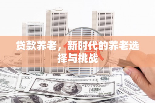 盐田贷款养老，新时代的养老选择与挑战