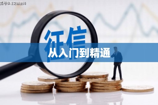 盐田从入门到精通