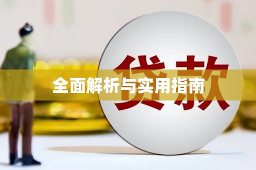 盐田全面解析与实用指南