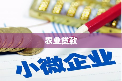 盐田农业贷款