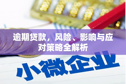 盐田逾期贷款，风险、影响与应对策略全解析