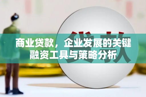 盐田商业贷款，企业发展的关键融资工具与策略分析