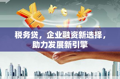 盐田税务贷，企业融资新选择，助力发展新引擎