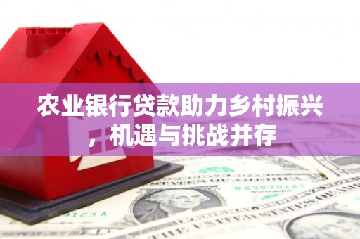 盐田农业银行贷款助力乡村振兴，机遇与挑战并存
