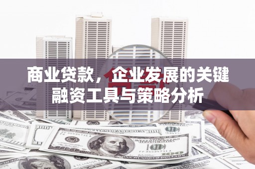 盐田商业贷款，企业发展的关键融资工具与策略分析