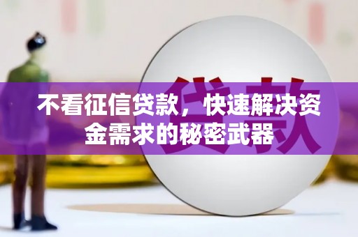 盐田不看征信贷款，快速解决资金需求的秘密武器