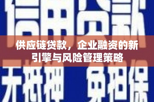 盐田供应链贷款，企业融资的新引擎与风险管理策略