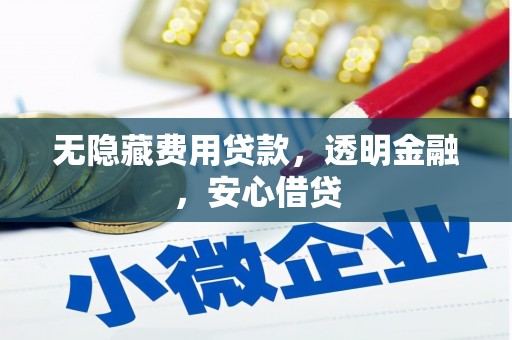 盐田无隐藏费用贷款，透明金融，安心借贷