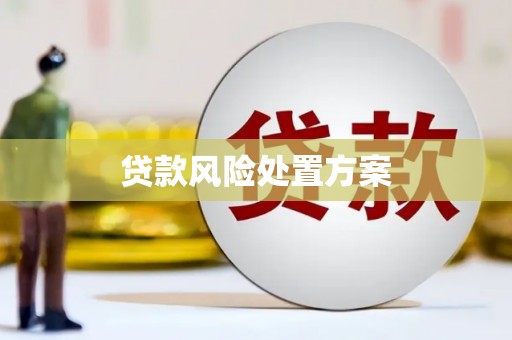 盐田贷款风险处置方案