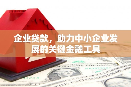 盐田企业贷款，助力中小企业发展的关键金融工具