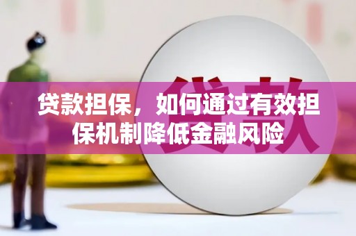 盐田贷款担保，如何通过有效担保机制降低金融风险