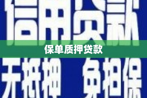 盐田保单质押贷款