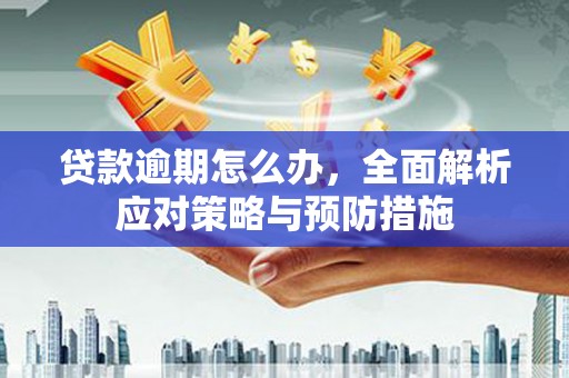 盐田贷款逾期怎么办，全面解析应对策略与预防措施