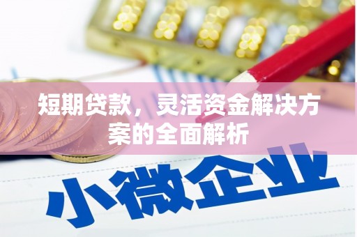 盐田短期贷款，灵活资金解决方案的全面解析