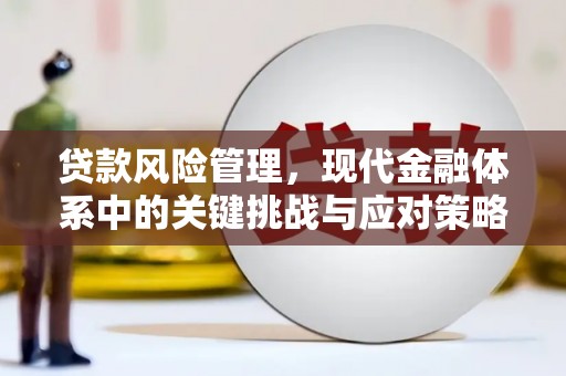 盐田贷款风险管理，现代金融体系中的关键挑战与应对策略