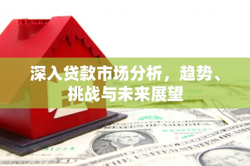 盐田深入贷款市场分析，趋势、挑战与未来展望