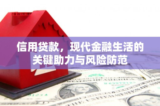 盐田信用贷款，现代金融生活的关键助力与风险防范